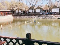 -尚庄度假村·庭台树下·户外烧烤·团建CS·轰趴营地(上庄水库店)