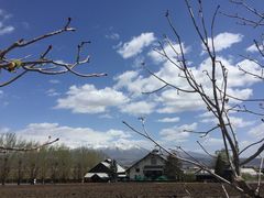 -富田农场