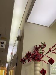 -上海首尔丽格医疗美容医院