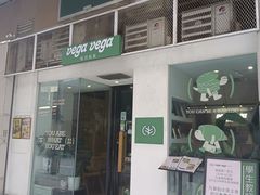-VEGA VEGA 我行我素