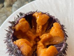 -普朗姆生蚝吧(原建国路店)
