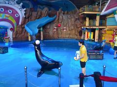 -烟台海昌鲸鲨海洋公园