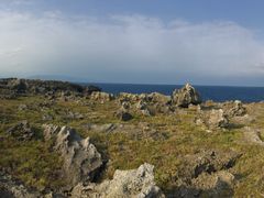 -龙坑生态保护区