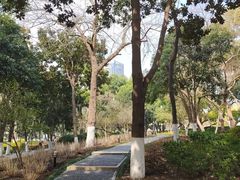 -常州古运河南大街文化旅游区-人民公园