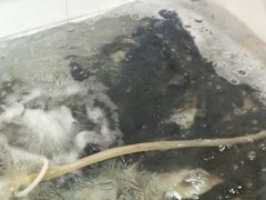 -山城家常菜铁锅炖鱼
