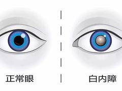 -标准眼镜·蔡司官方授权店(塘沽远洋未来汇店)