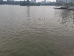 -迎泽公园
