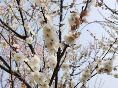 -蜀冈西峰生态公园