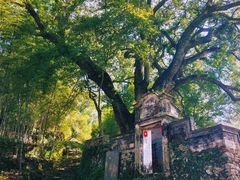 -楠溪江风景名胜区