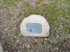 -上海青龙寺