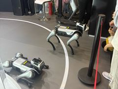 -上海汽车会展中心