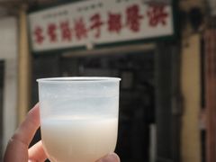 -洪馨椰子