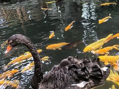 -南宫五洲植物乐园