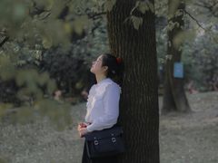 -南山植物园
