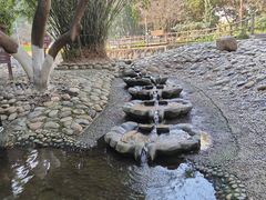 -成都市活水公园
