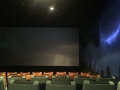 -新影联·华谊兄弟影院(望京店)