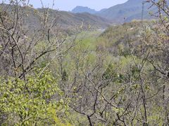 -玉渡山自然风景区