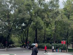 -绵阳人民公园(涪城区)