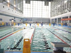 -奥体中心游泳馆