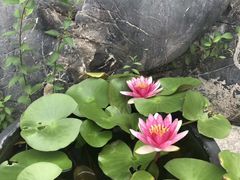 -开心人网上药店