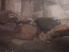-三江森林温泉度假区