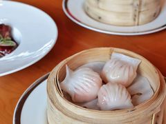 -广州富力君悦大酒店空中花园