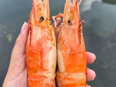 -蟹村草堂·苏式园林人文农家·大闸蟹