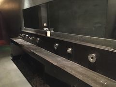 -丽思卡尔顿酒店泳池(金融街店)