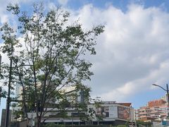 -瑞虹新天地月亮湾