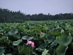 -云龙湖旅游景区