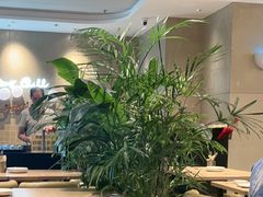 -必胜客(桐梓坡店)