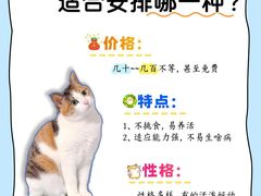 -翊宠yipet猫狗购宠庄园