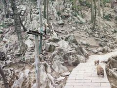 -黔灵山公园
