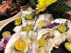 生蚝刺身-熊藏居酒屋(kkone店)