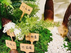 -竹野·上|老字号全竹宴