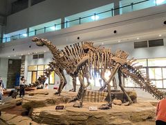 -自贡恐龙博物馆