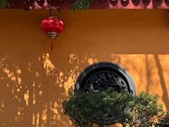 -猫的魔法密林(衣裳街店)