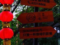 -南山植物园