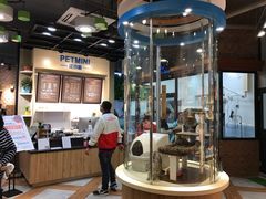 -宠小格时尚宠物生活馆(唐镇店)