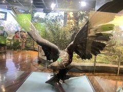 -陕西自然博物馆