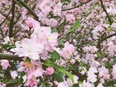 -杭州城北体育公园