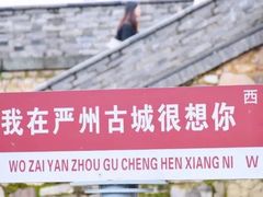 -小武包子铺(严州古城店)