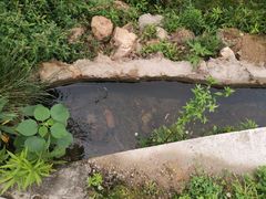 -北仑森林植物园