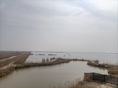 -盐城丹顶鹤湿地生态旅游区
