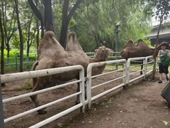 -长白岛森林公园