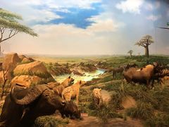 -陕西自然博物馆