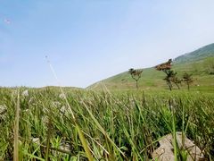 -恋山坝上草原