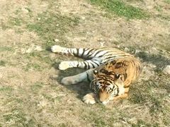 -西安秦岭野生动物园