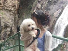 -磐安舞龙峡景区