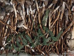 -双喜农庄·菌香园(安居家园店)